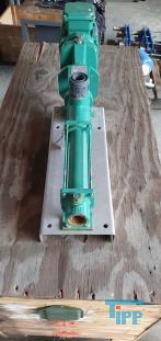 Exzenterschneckenpumpen: auch PCP (progressing cavity pump) genannt, sind Pumpen zur Frderung einer Vielzahl von Medien, insbesondere von dickflssigen, hochviskosen und abrasiven Medien wie zum Beispiel Schlmmen, Glle und Fetten.
Funktionsweise: Bei einer Exzenterschneckenpumpe dreht sich der angetriebene, schneckenfrmige Rotor um seine Achse und vollfhrt dabei eine exzentrische Drehbewegung in einem entsprechend geformten Gehuse, dem Stator. Der Rotor besteht dabei blicherweise aus einem hoch abriebfesten Material wie zum Beispiel Stahl. Der Stator hingegen besteht aus einem elastischen Material, zum Beispiel Gummi. Durch die spezielle Formgebung von Rotor und Stator entstehen zwischen Rotor und Stator abgedichtete Hohlrume, die sich bei Drehung des Rotors axial fortbewegen und das Medium frdern. Die Frdermenge ist dabei direkt proportional zum Drehwinkel des Rotors. Durch Variation der Steigungszahl kann der erzielte Druck in weiten Bereichen variiert werden. Erfinder dieser Pumpentechnik ist Professor Ren Moineau, der im Jahr 1930 seine Erfindung zum Patent anmeldete und in seiner Dissertation 1939 vertiefte. Nach ihm wird diese Technik auch Moineau-Prinzip genannt.

Die Form der Hohlrume ist dabei konstant, so dass das Frdermedium nicht gequetscht wird. Dadurch eignen sich diese Pumpen auch fr Emulsionen, die sich bei Quetschung leicht in ihre Phasen trennen wrden, wie z. B. Sahne.

Umgekehrt verhindert die schonende Frderung das Emulgieren miteinander gefrderter Medien wie z.B. in Bilgenwasser-Entleranlagen, in denen man das l nach der Frderung vom Wasser trennen will.

Ein besonderer Vorteil besteht darin, dass Exzenterschneckenpumpen kontinuierlich frdern, was sie fr die Verwendung in Vergussanlagen geeignet macht, auch fr hochviskose und abrasive Medien. Ebenfalls eignen sie sich als Bestandteile von Fassfolgeplattenpumpen.
Verwendung: Exzenterschneckenpumpen haben einen ausgesprochen weiten Anwendungsbereich. Durch ihren extrem einfachen Aufbau mit einer sehr geringen Anzahl von bewegten Teilen eigenen sie sich auch fr den Einsatz in sehr rauem Umfeld. Das Verschleiteil - der Stator - kann mit wenigen Handgriffen ausgetauscht werden.
Quelle: www.wikipedia.org