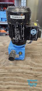 Dosierpumpe:Dosierpumpen kommen berall dort zum Einsatz, wo Flssigkeiten dosiert, d.h. mglichst genau mit einem definierten Volumen und in einer definierten Zeit einem Medium zugegeben werden sollen. 

Bei Dosierpumpen handelt es sich um oszillierende Verdrngerpumpen. Es wird ein definiertes Flssigkeitsvolumen beim Rckhub des Verdrngers eingesaugt und beim Druckhub in die Dosierleitung gedrckt. Die Frderleistung ist durch das Einstellen des Hubvolumens und der Dosierhbe pro Zeiteinheit vernderbar. So lsst sich eine gleich bleibend genaue und auch bei unterschiedlichen Gegendrcken konstante Dosierung erreichen.
Quelle: www.wasser-wissen.de
